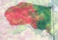 [digitalizar0001.jpg]