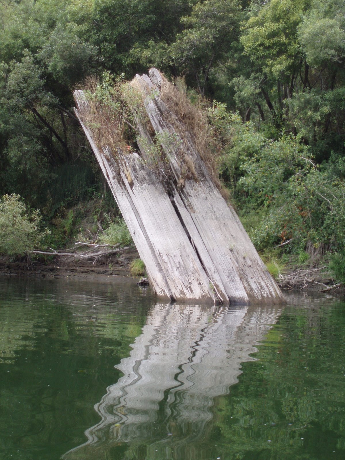 [klamath+woody+debris.JPG]