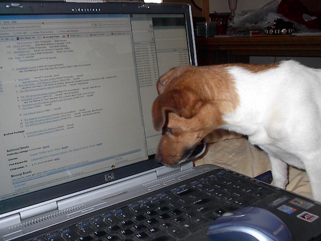 If the dog is computer savvy I guess I can blog!