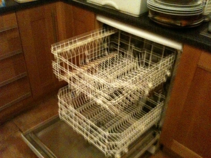 The Project 366 Things Thing 204 Cook Fish in the Dishwasher