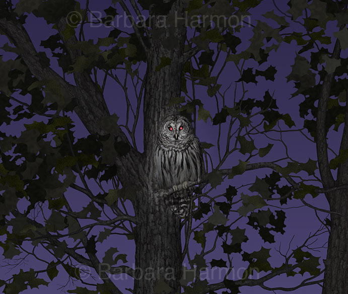 Barbara Harmon Murals, Exhibits, Posters, Illustration and Art Barred