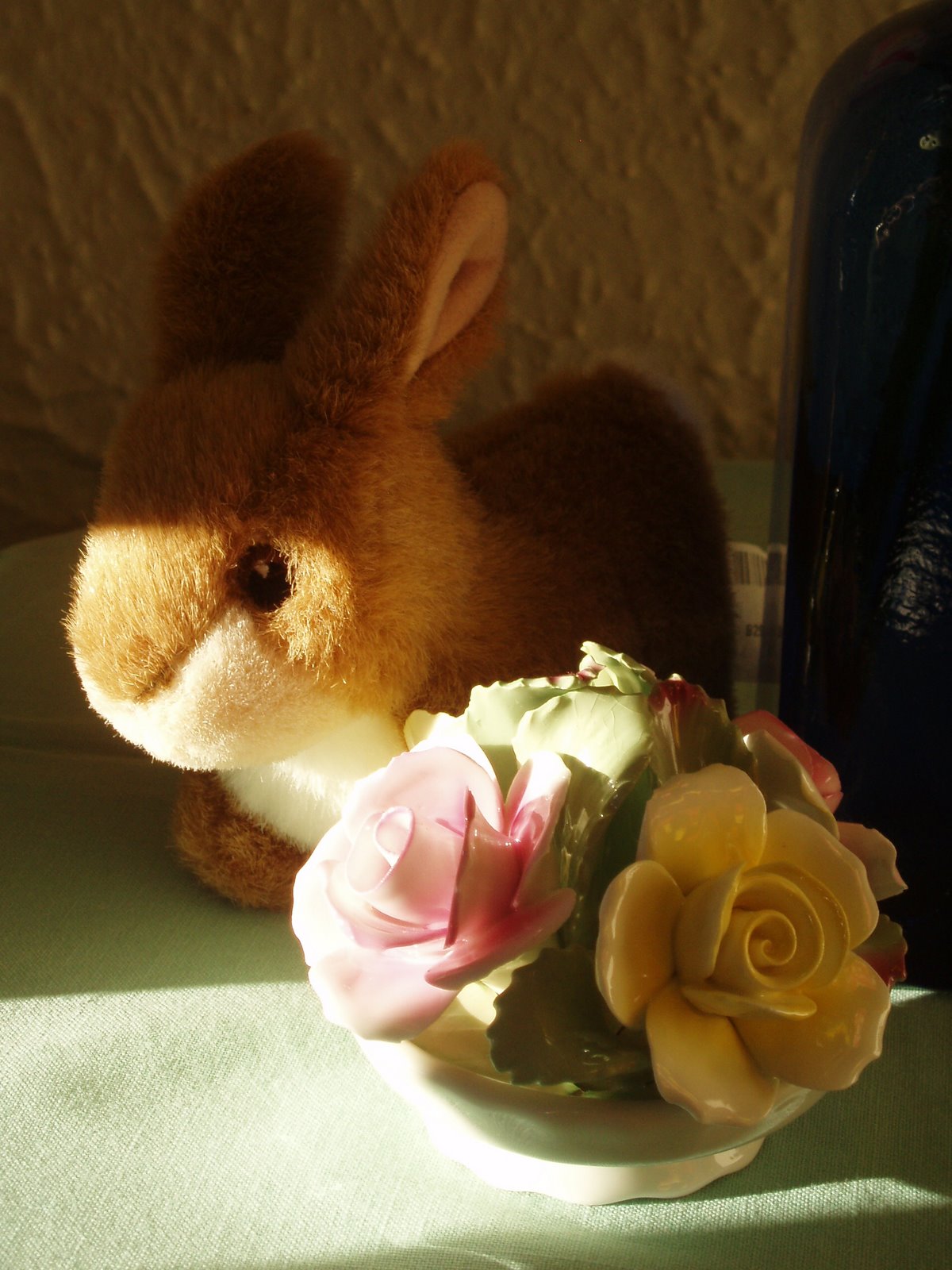 [Bunny+and+Aynsley+roses.JPG]