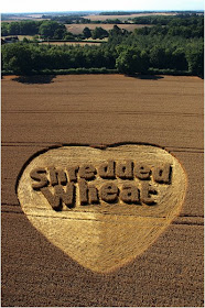 Kia Seen OnCool crop 'art' circles from around the world www.coolpicturegallery.us
