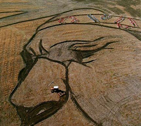 Kia Seen OnCool crop 'art' circles from around the world www.coolpicturegallery.us