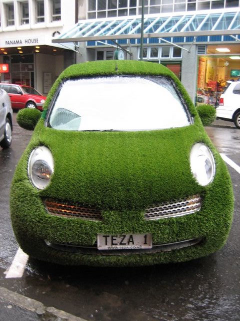 [grass-car.jpg]