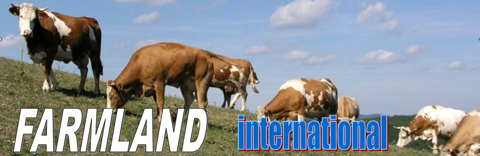 FARMLAND INTERNATIONAL
