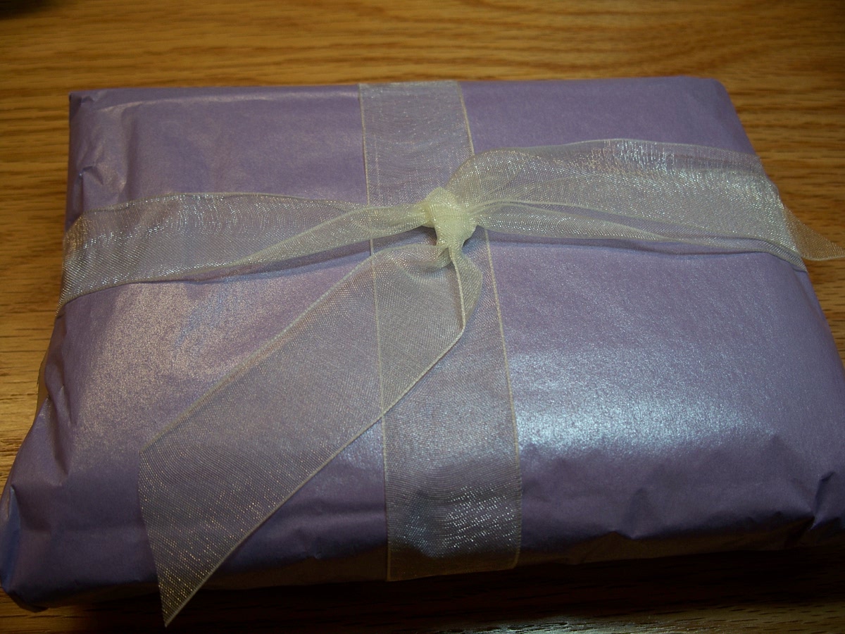 [Holly's+Giveaway+Package.JPG]