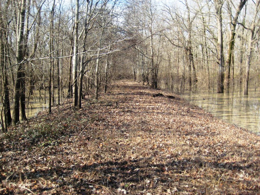 my pics, vids & bucketlist_kirkjross 2009