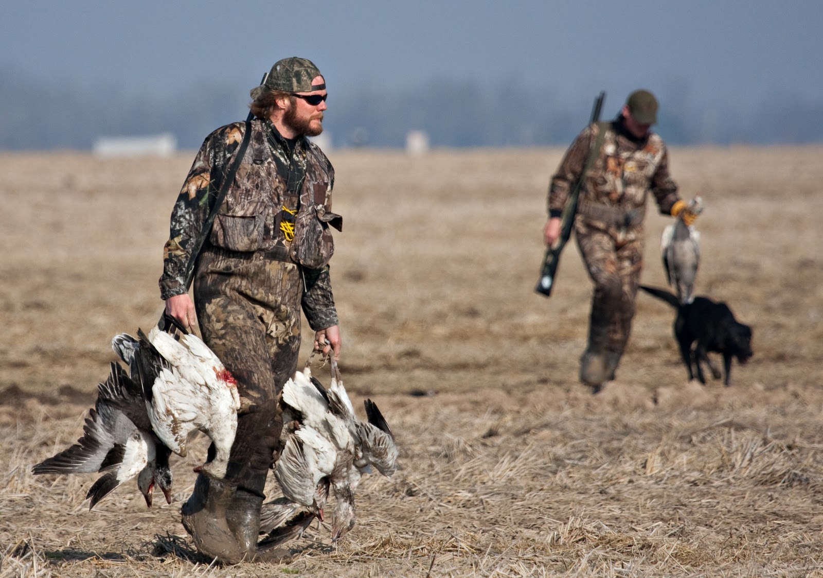 my pics, vids & bucketlist_kirkjross Goose Hunting Poinsett County