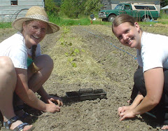 Llyn and Danielle planting onions