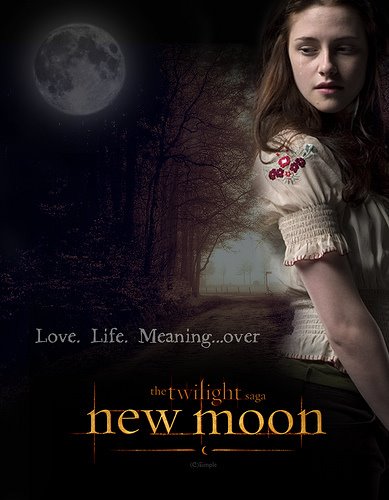 [New-Moon-Poster-twilight-series-6845001-389-500.jpg]