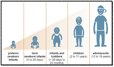 Pioneer Space: Human Life Cycle (HLC) & Product Life Cycle (PLC)