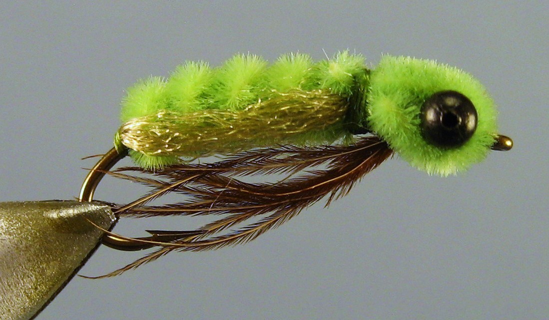 ityeflies: Flies Of Floyd Franke
