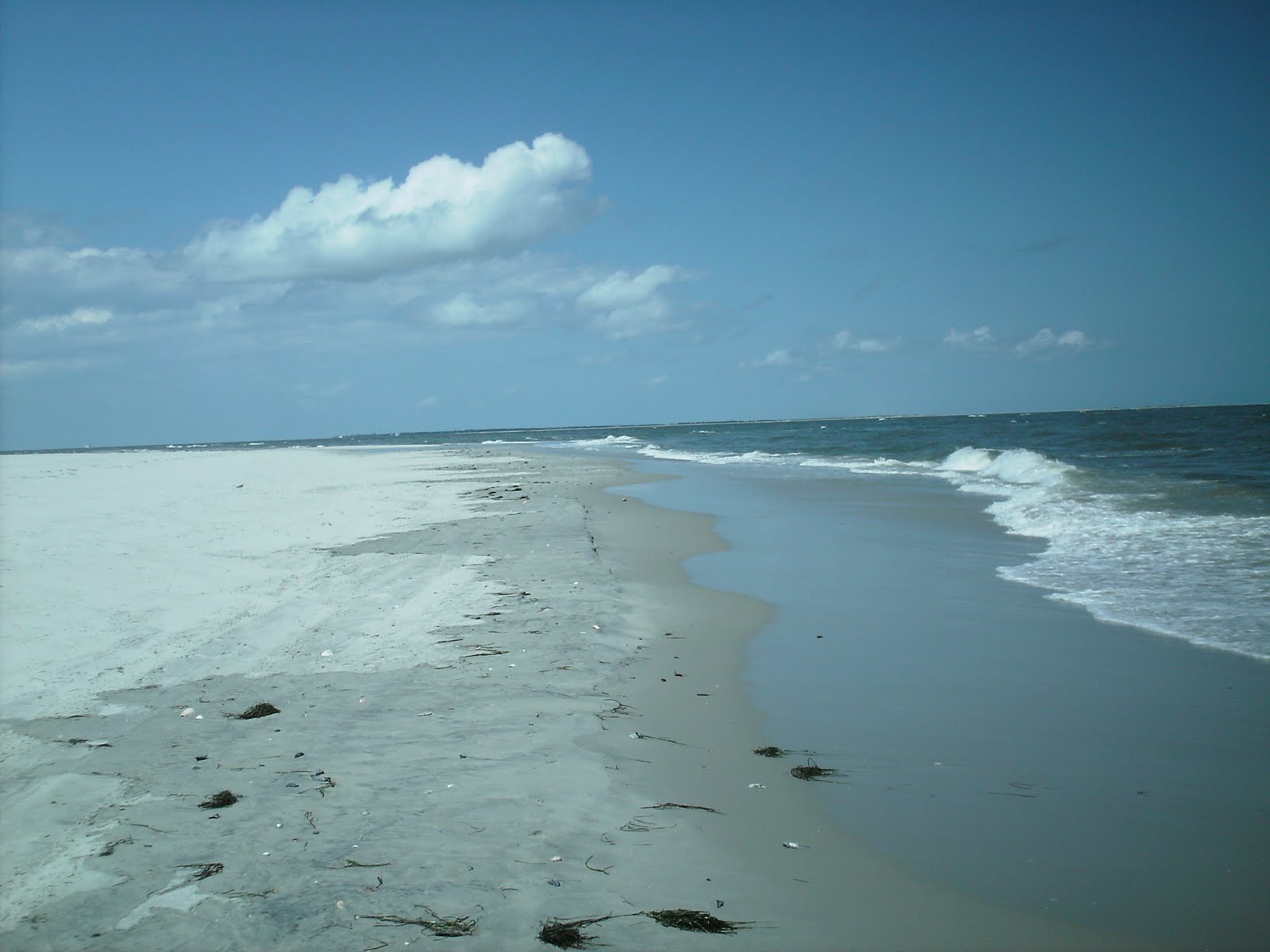 Summit to Shore Portsmouth Island