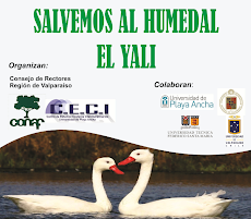 Campaña Salvemos al Humedal El Yali