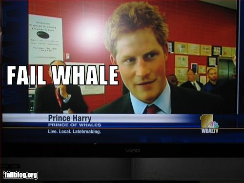[fail-owned-prince-whales-fail.jpg]