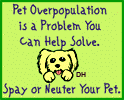 Pet Overpopulation
