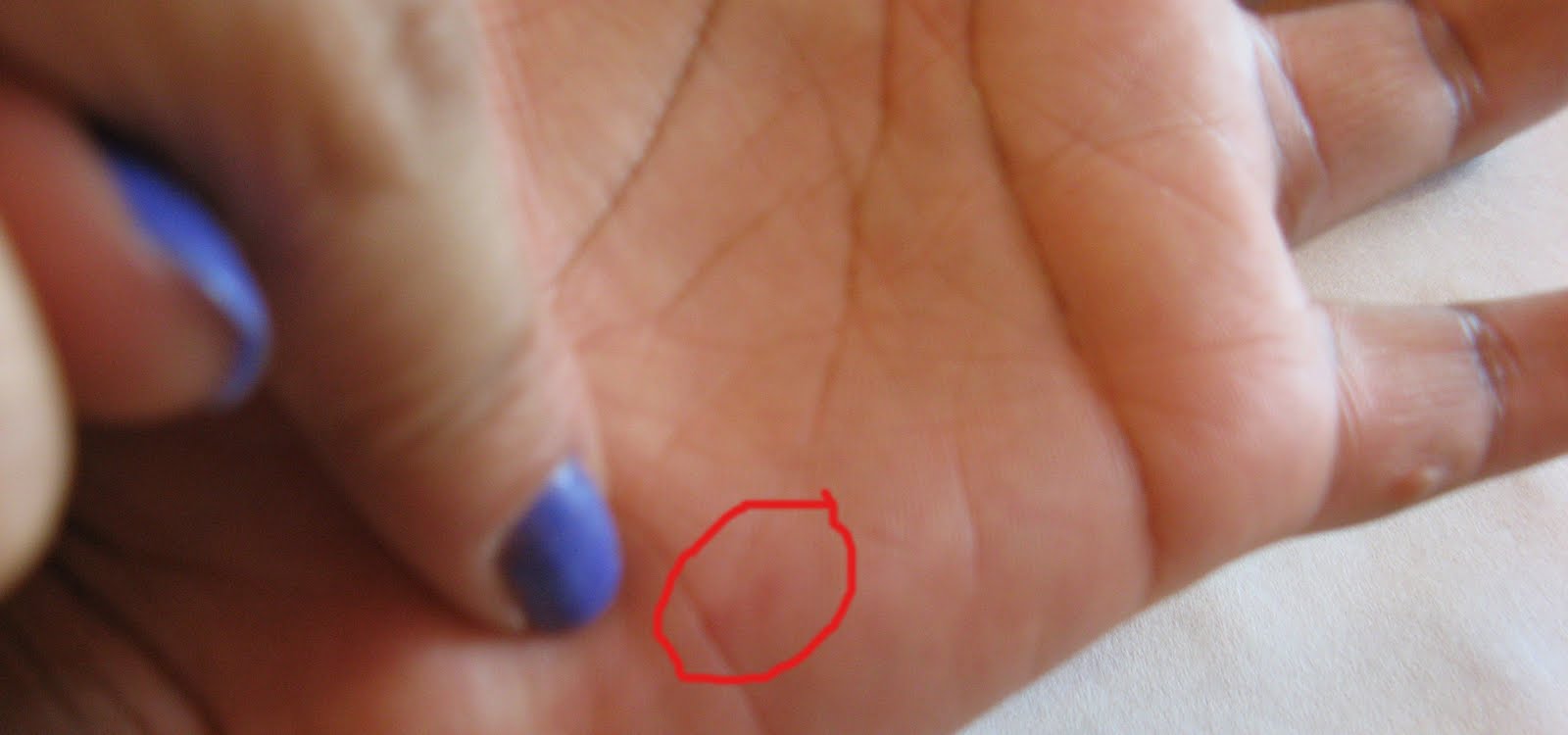 The Ultimate Stay(suffo)cation Hitting the Batting Cages at Chelsea Piers