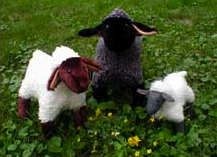 3 little sheep