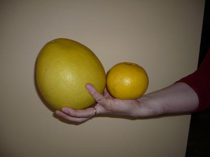 [P1000992+copiar.jpg]