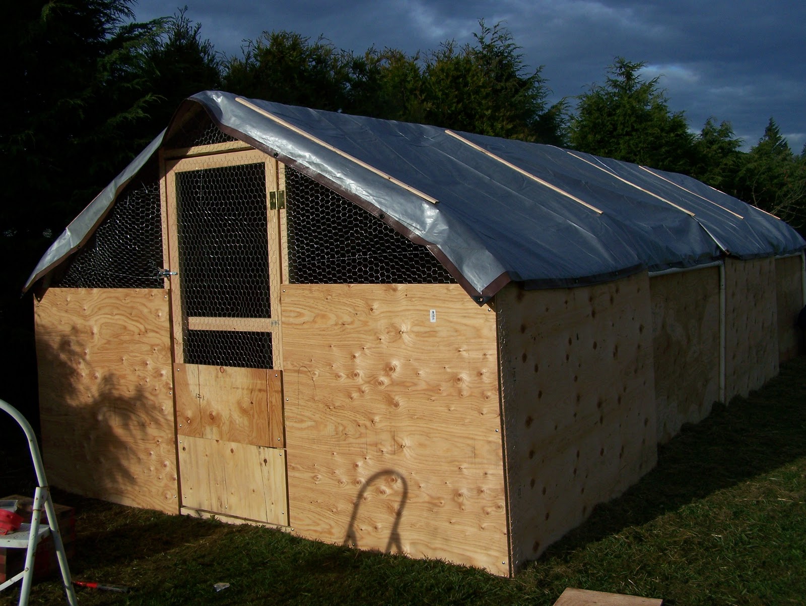 Sherry's Crazy Menagerie: The Newest Pen and Brooder Building Projects