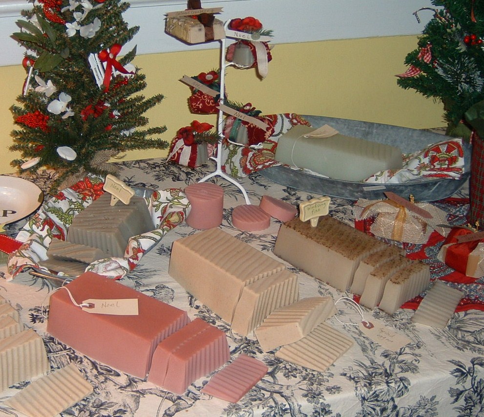 [holiday+party+005.JPG]