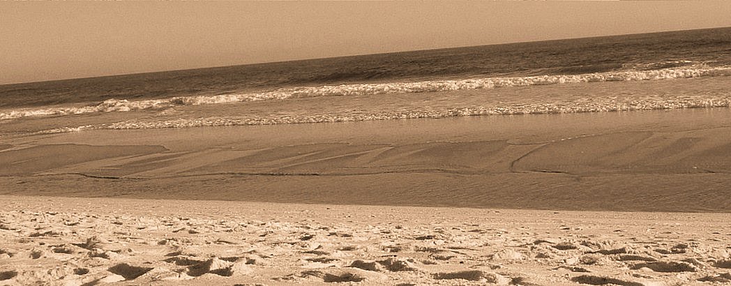 [beach+nov+009+(2)sep.jpg]