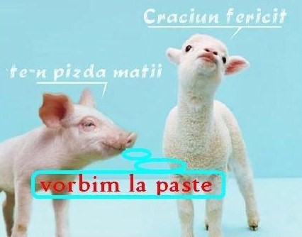 [jgkjm.jpg]