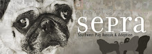 Southeast Pug Rescue and Adoption