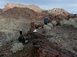 Our field area in the Whipples
