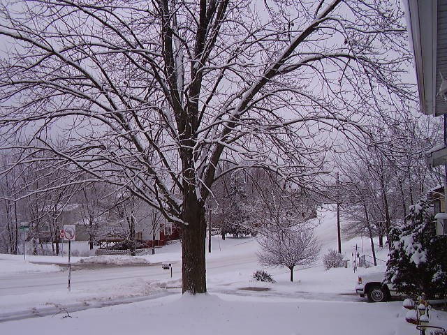 [Snow+storm+looking+west+on+Maplecrest12-09-09+005.jpg]
