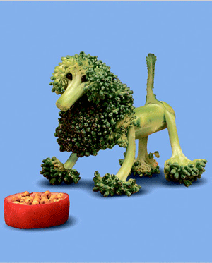 food-art food-art