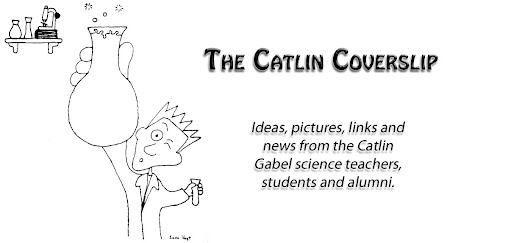 The Catlin Coverslip