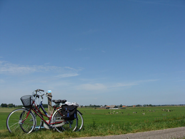Fietsen in waterland