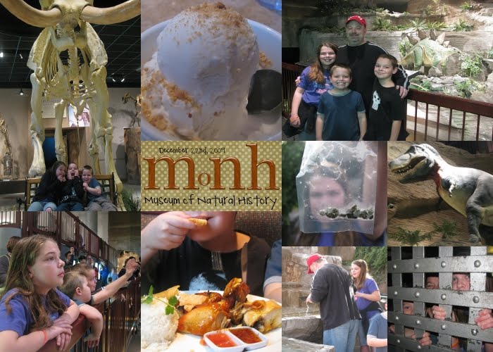 [Museum+of+Natural+History.jpg]