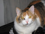 Samantha, o começo de tudo!