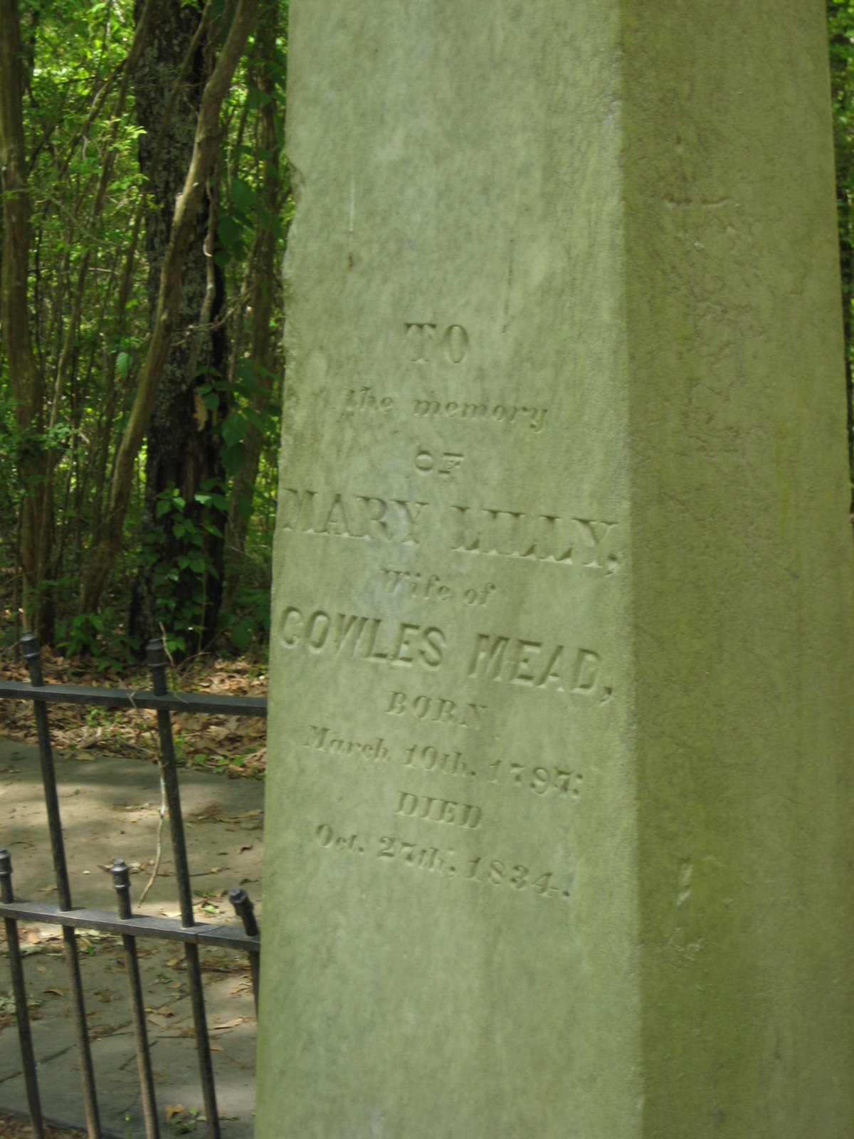 [Cowles+Mead+Cemetery.JPG]