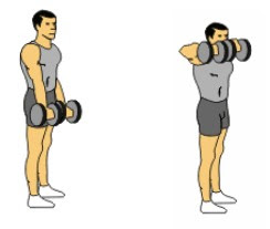 upper trap dumbbell workout