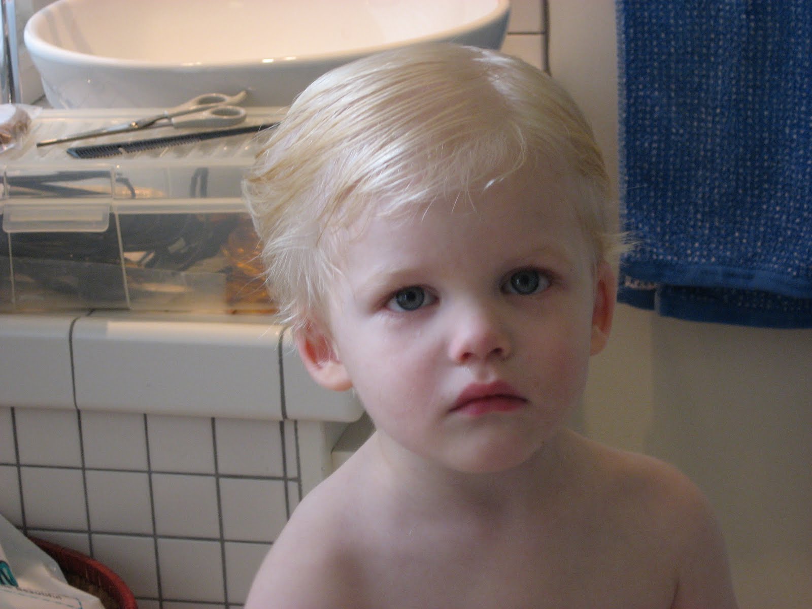 Fugue Salad Haircut Bonanza