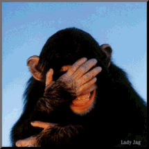 Look at the monkey!!!!!!!!!!!!!!!!!!!!!!