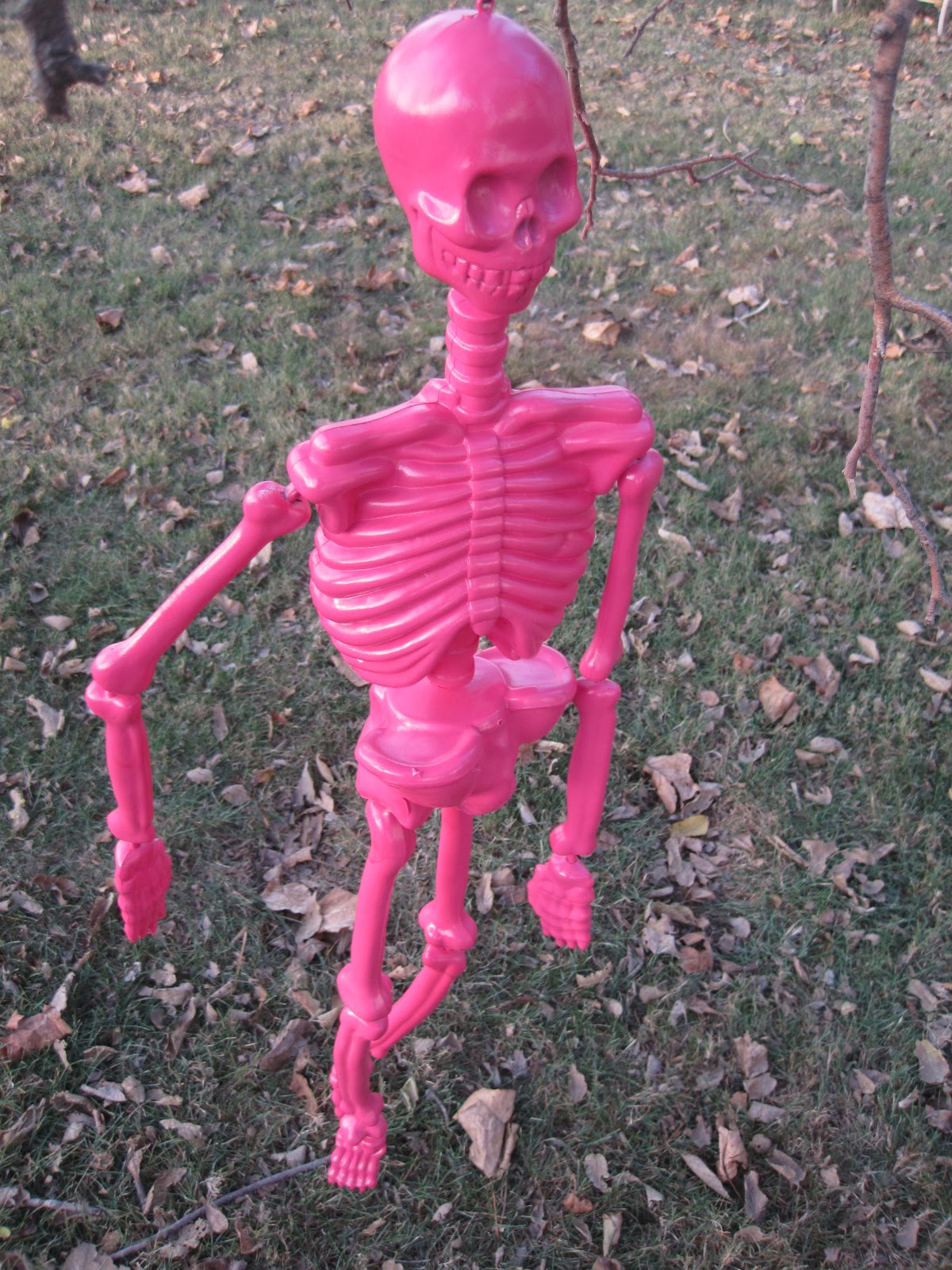 Shabby Pink World: Pink Skeleton