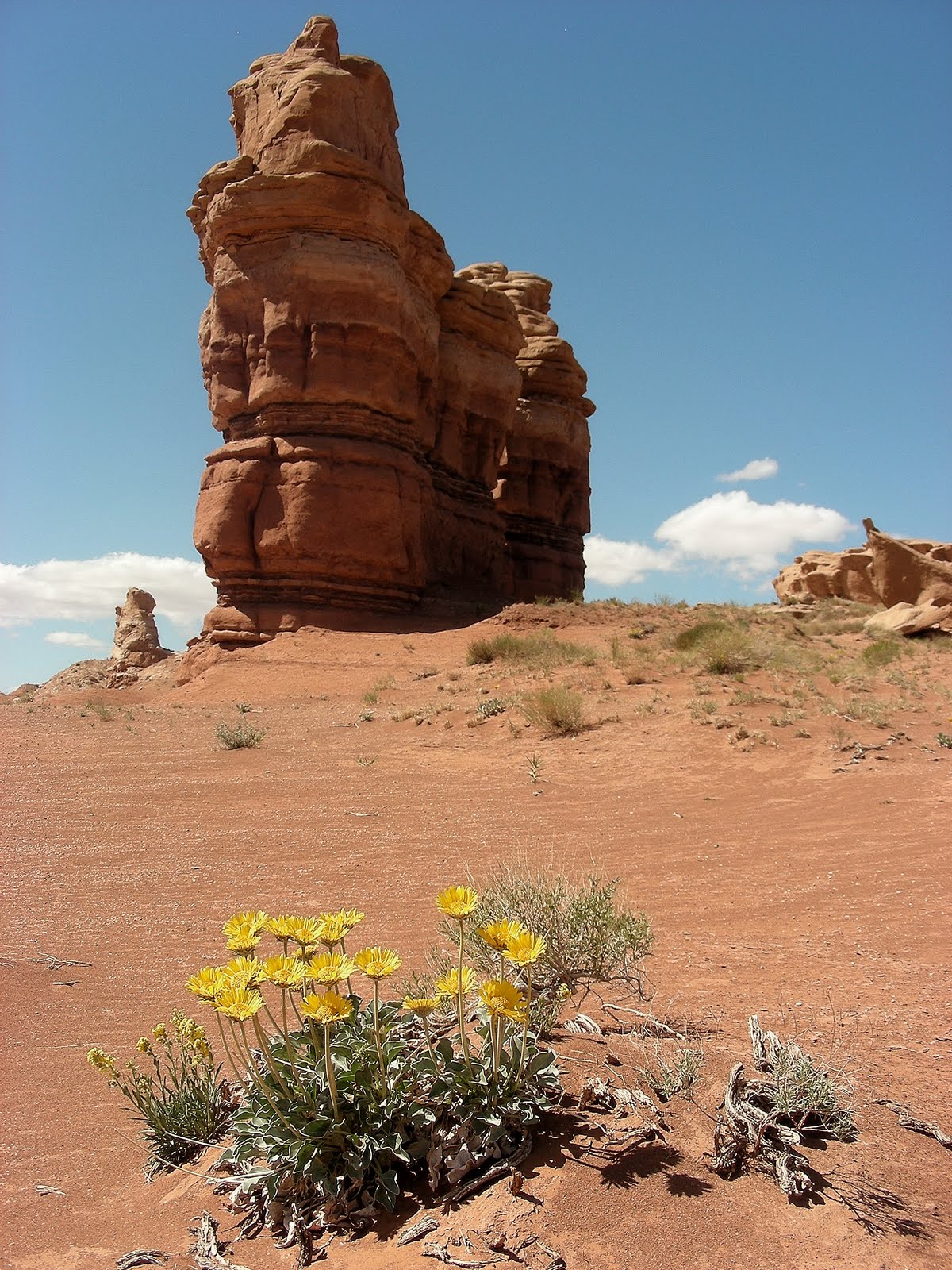 It Just Comes Naturally NotomBullfrog Road en route to Capitol Reef