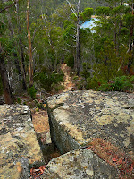 Gentle Annie Falls, Pipeline Track, Mt Wellington - 29 January 2008