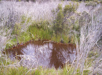 Crater-lake - Blowhole Valley, Tasmania - 2006