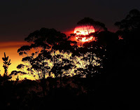 The setting sun from Vinces Saddle through regeneration burn smoke - 26 Mar 2007