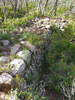 Thick drystone dolerite walls of the upper icehouse, Icehouse Track, Mt Wellington, Tasmania - 10 May 2007