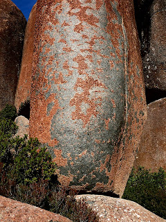 Dolerite boulder, showing spherical weathering and red/blue differentiation of boulder surface (no explanation yet - ice fracturing?), Mt Wellington, Tasmania - 15 May 2007