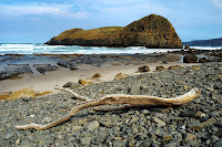 Driftwood and Lion Rock, South Cape Bay - 6th April 2010