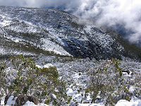 View of Big Bend, Mt Arthur and Lost World from high on Pinnacle Rd, Mt Wellington - 18th August 2008