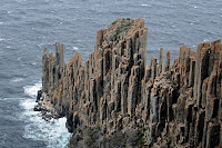 Dolerite columns at the southern extremity of Cape Raoul, including seal colony - 10th September 2009